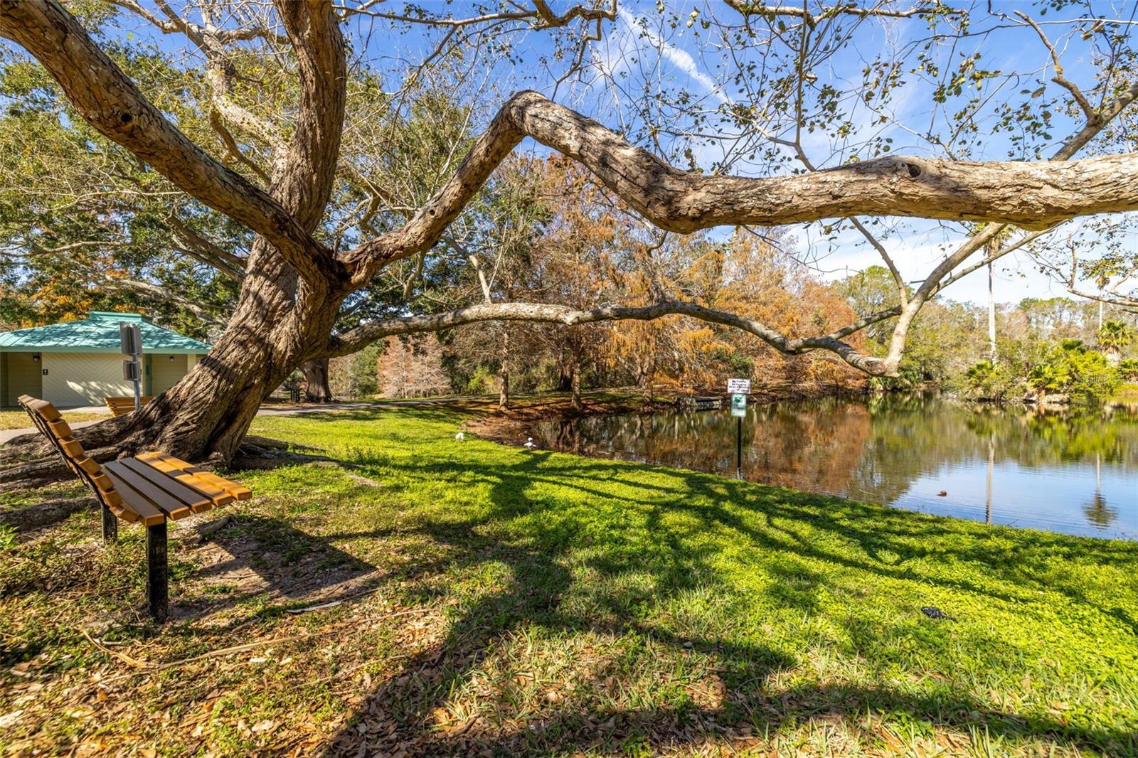 1375 CARLISLE CT, DUNEDIN, FL, 34698