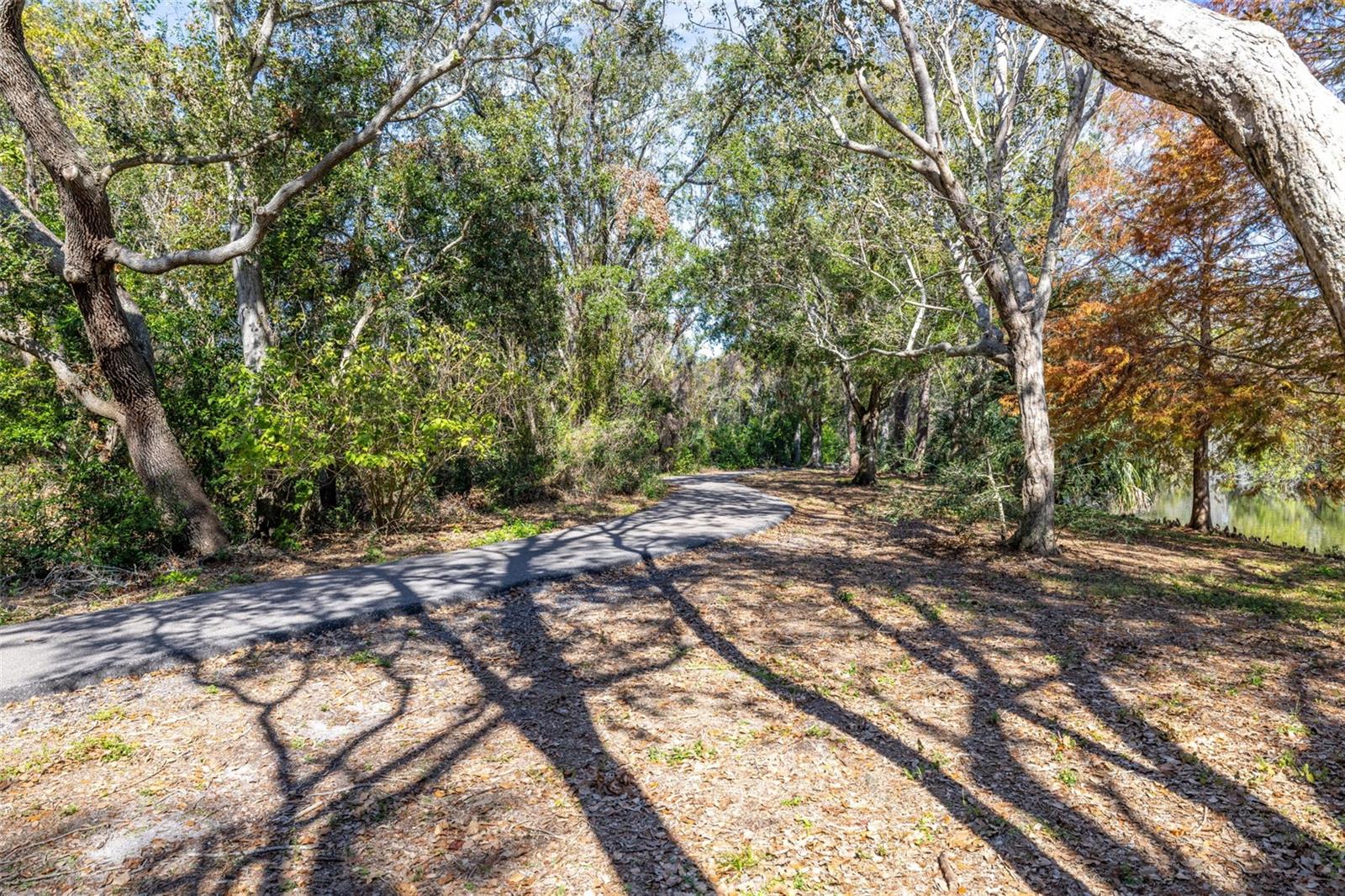 1375 CARLISLE CT, DUNEDIN, FL, 34698