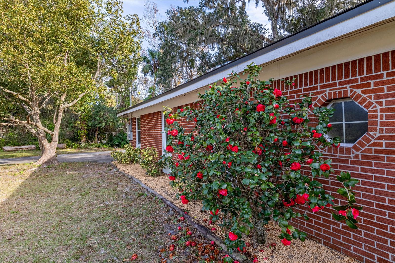 646 PALM DR, OVIEDO, FL, 32765