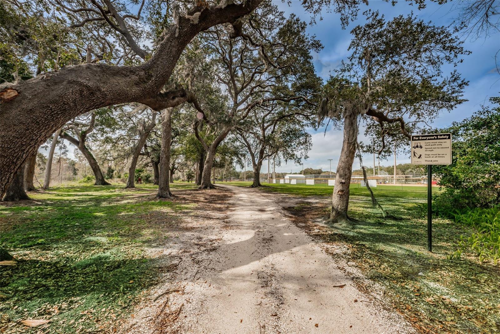 1120 IDLEWILD DR N, DUNEDIN, FL, 34698