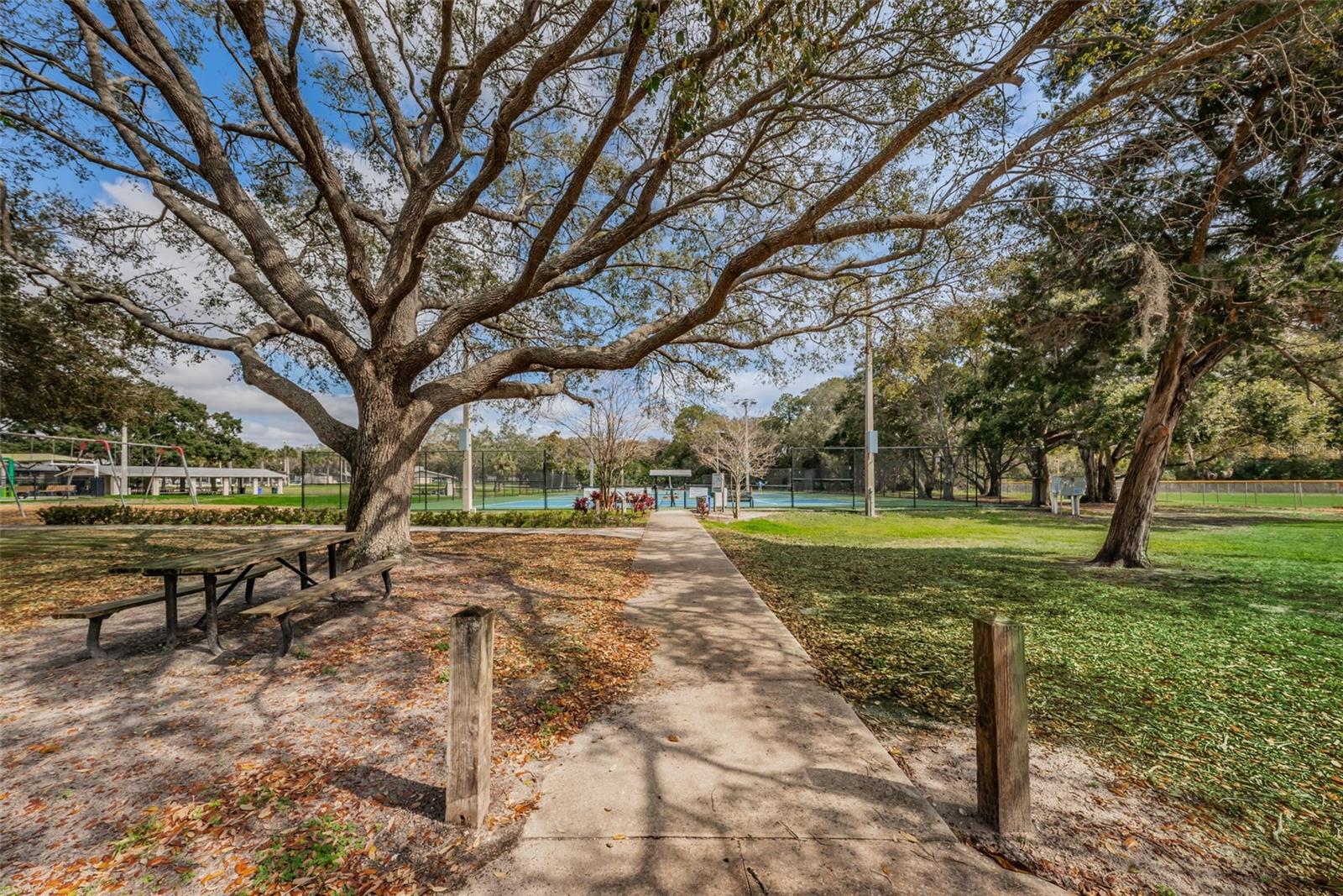 1120 IDLEWILD DR N, DUNEDIN, FL, 34698