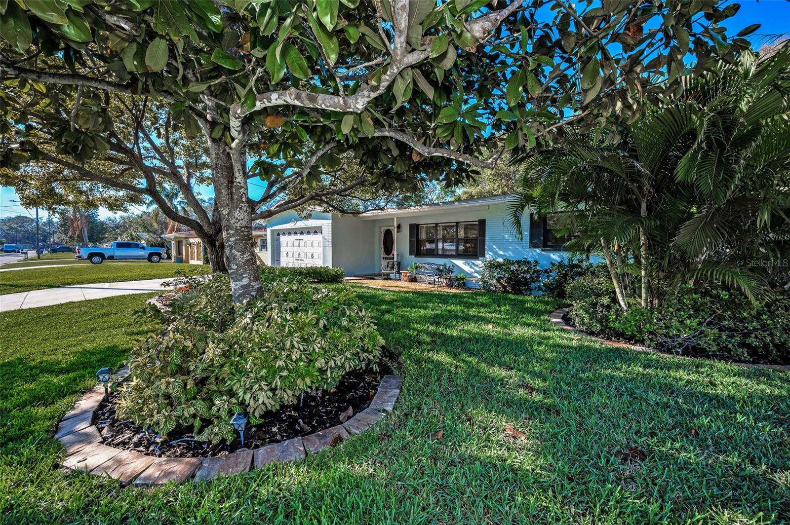 1120 IDLEWILD DR N, DUNEDIN, FL, 34698
