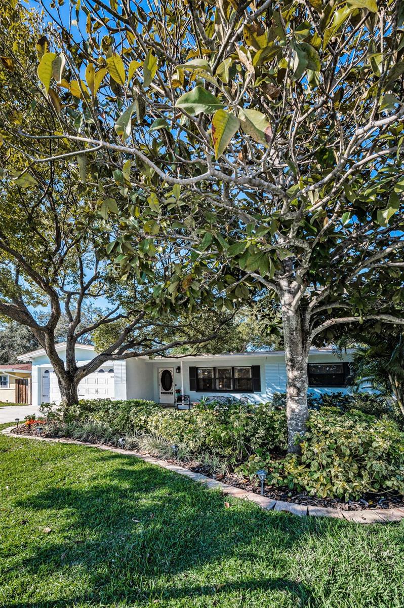 1120 IDLEWILD DR N, DUNEDIN, FL, 34698