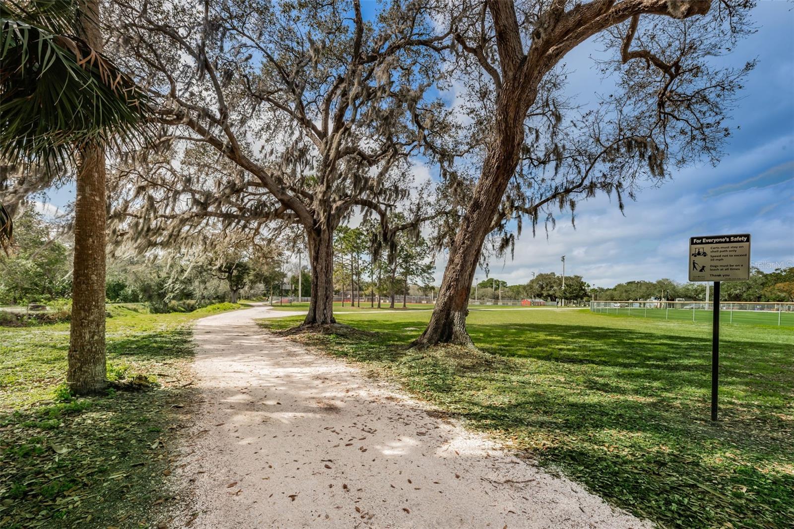 1120 IDLEWILD DR N, DUNEDIN, FL, 34698