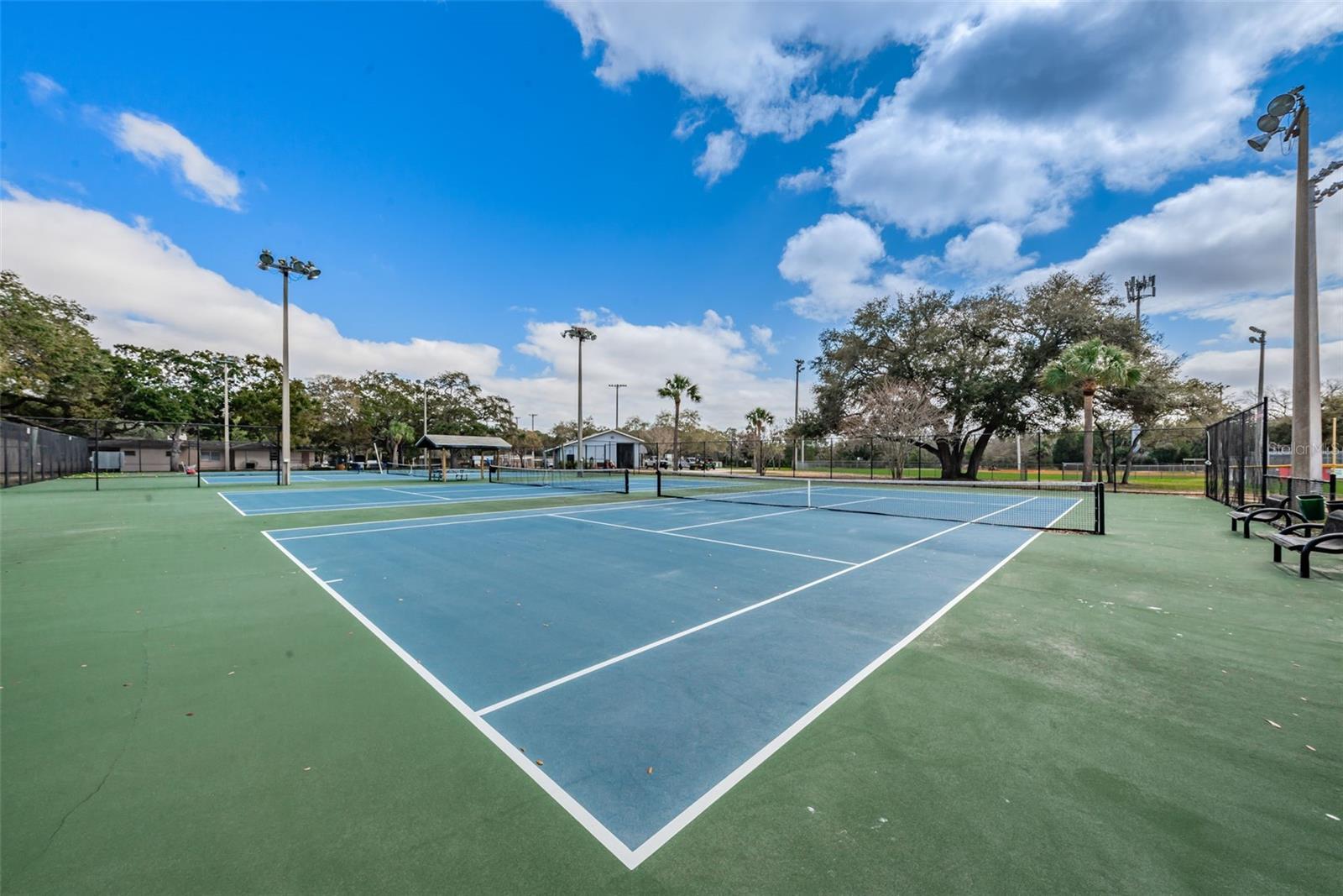 1120 IDLEWILD DR N, DUNEDIN, FL, 34698