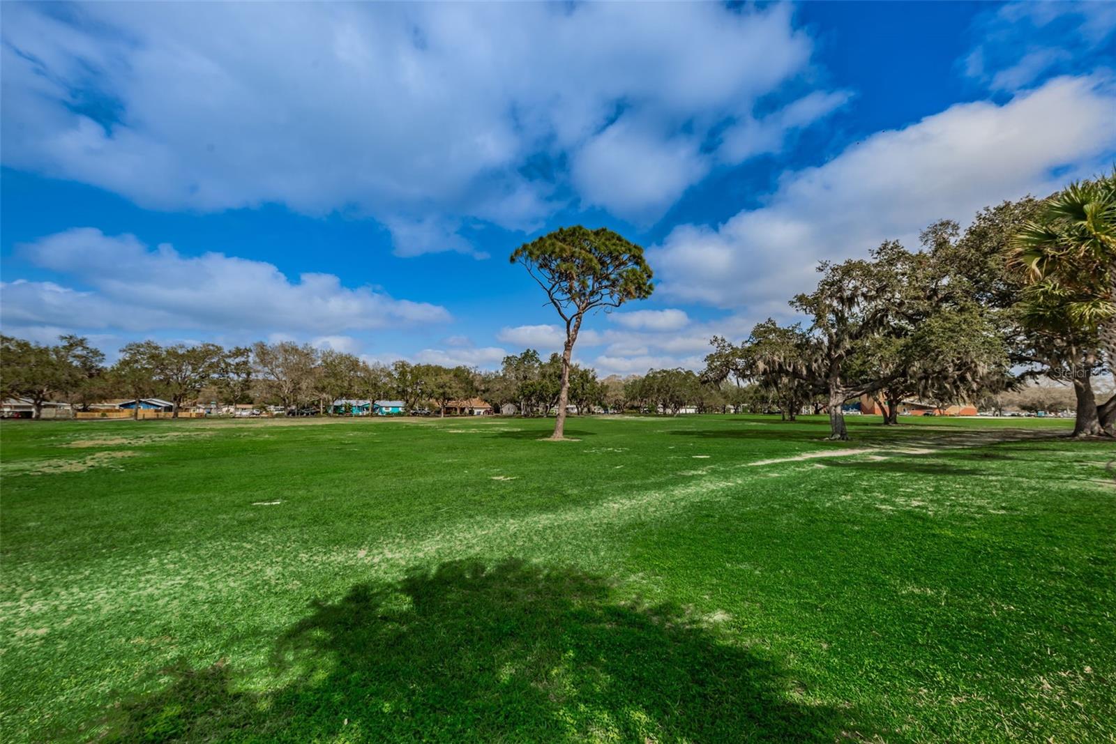 1120 IDLEWILD DR N, DUNEDIN, FL, 34698