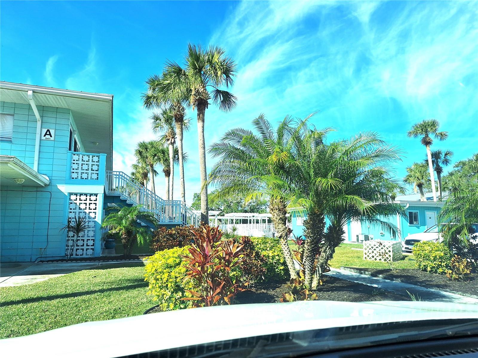 541 S PENINSULA AVE #A03, NEW SMYRNA BEACH, FL, 32169