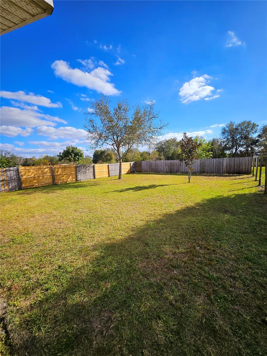 7132 HOLLY CREEK RD, MOUNT DORA, FL, 32757
