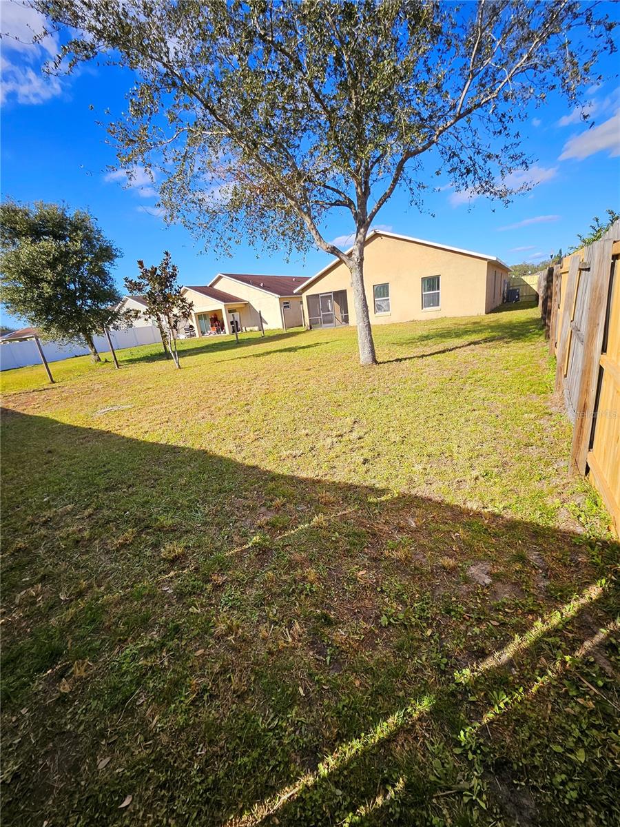 7132 HOLLY CREEK RD, MOUNT DORA, FL, 32757