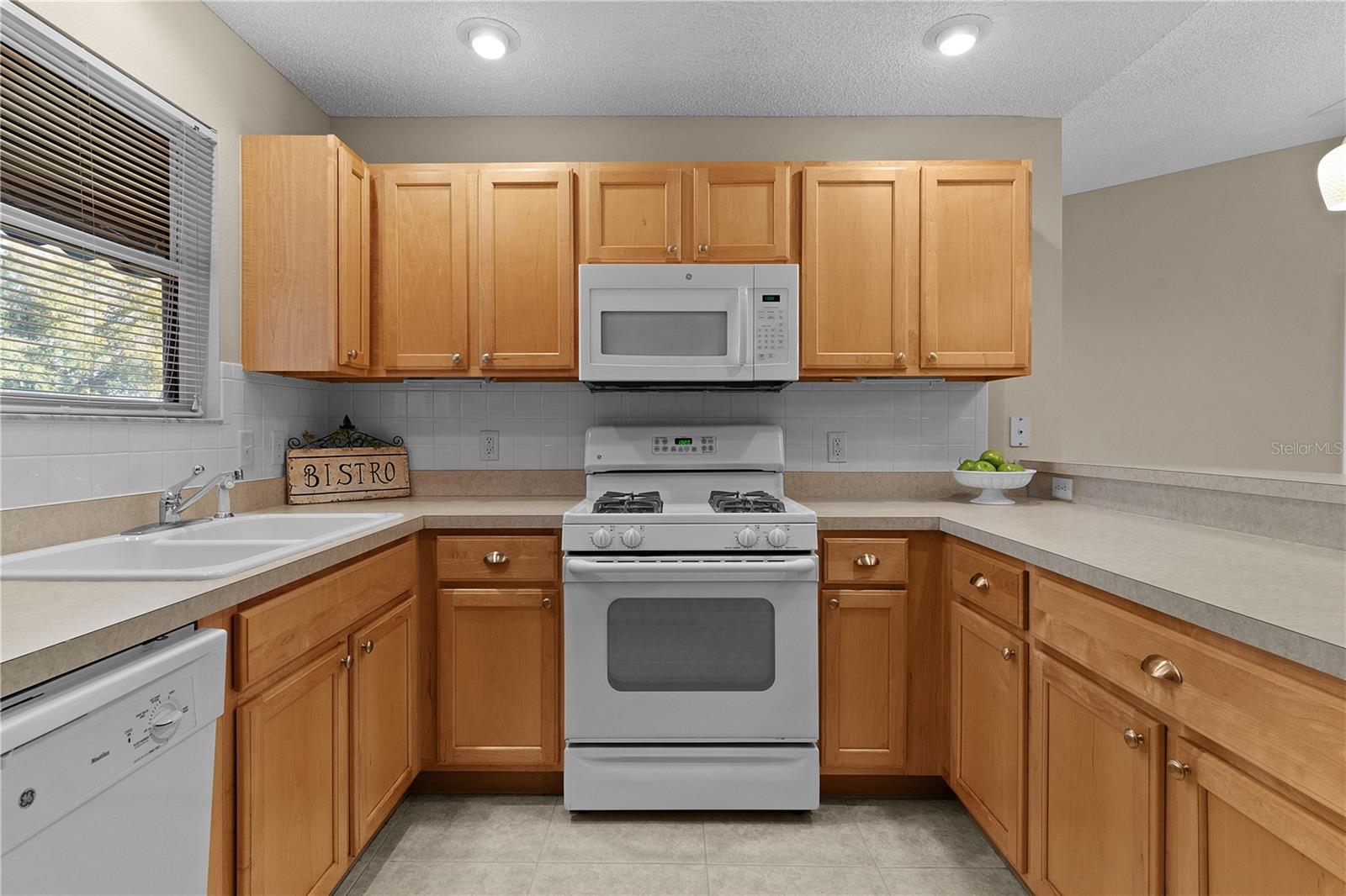 1509 LAKEWOOD DR, THE VILLAGES, FL, 32162