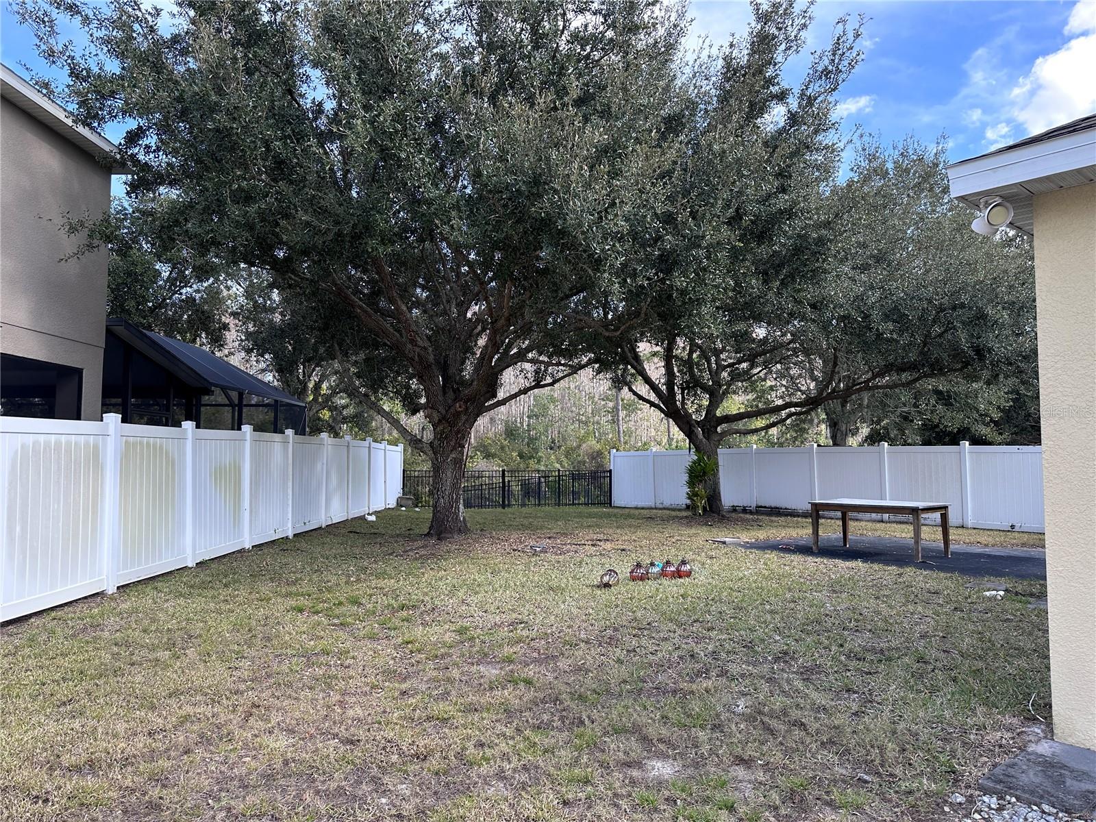 10307 WOODWARD WINDS DR, ORLANDO, FL, 32827