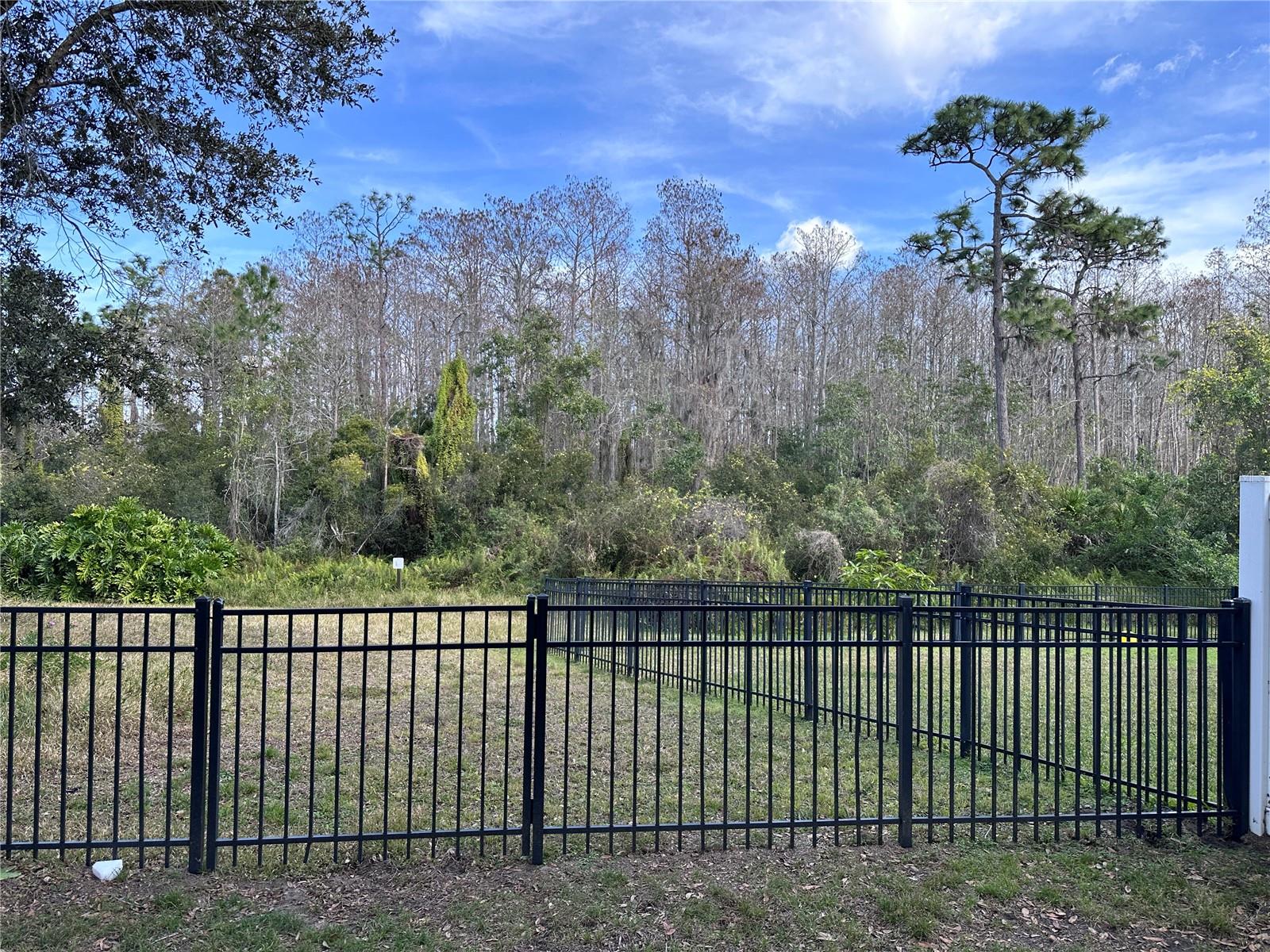 10307 WOODWARD WINDS DR, ORLANDO, FL, 32827