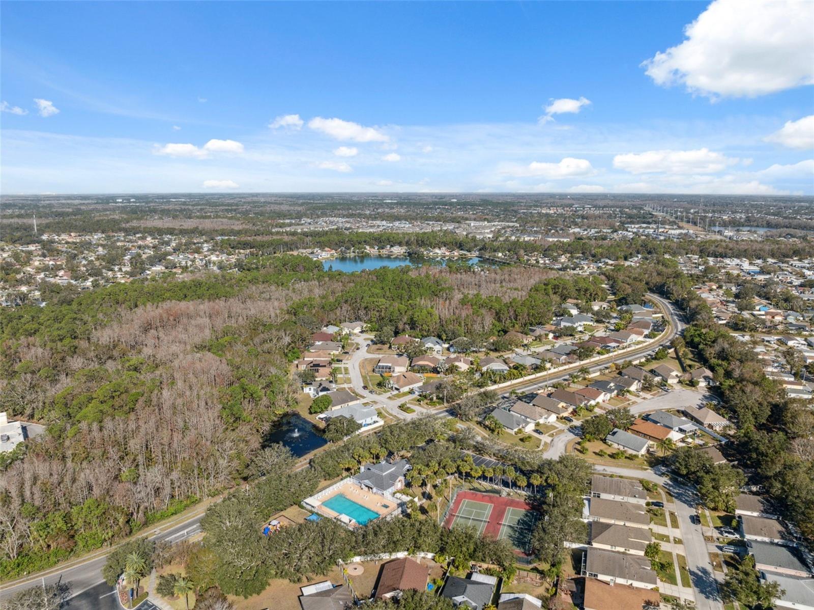 9626 CHARLESBERG DR, TAMPA, FL, 33635