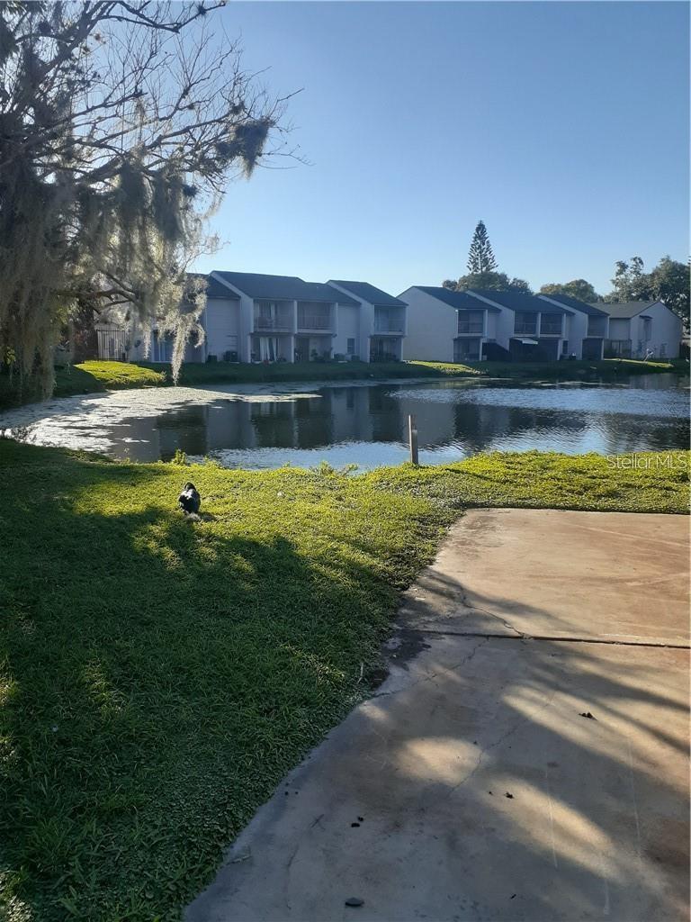 LYME BAY COLONY CONDO, ORLANDO, FL, 32839
