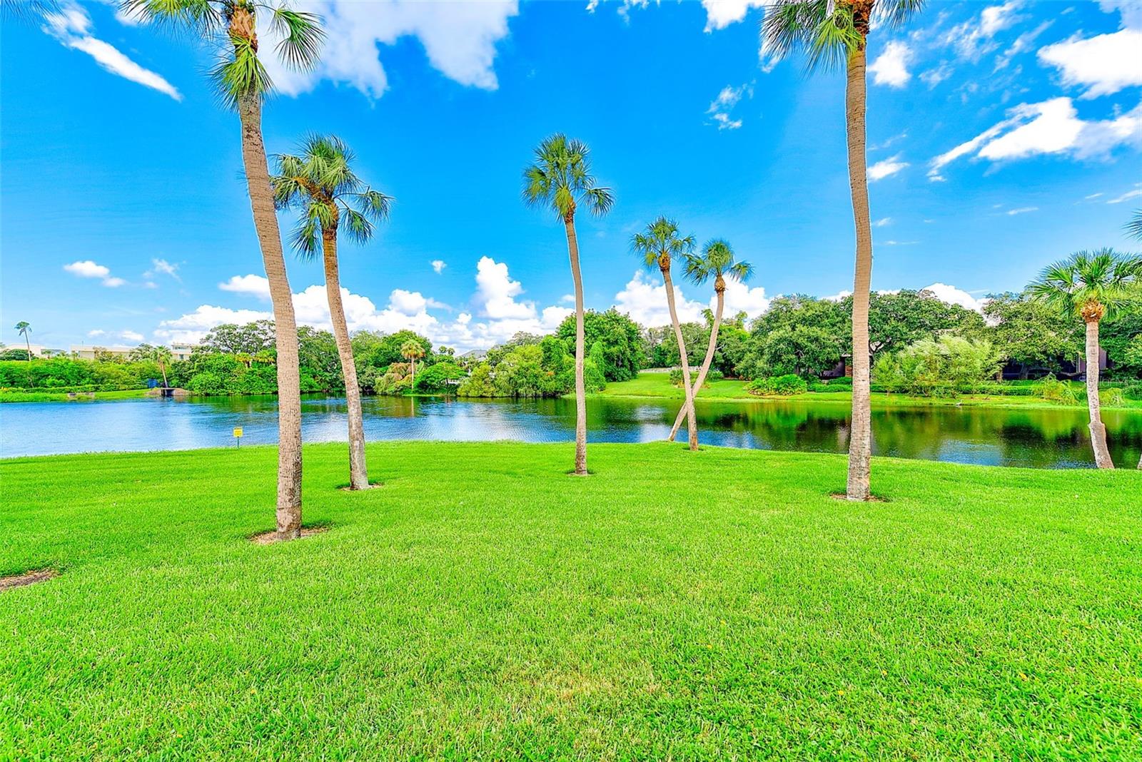 220 BELLEVIEW BLVD #811, BELLEAIR, FL, 33756