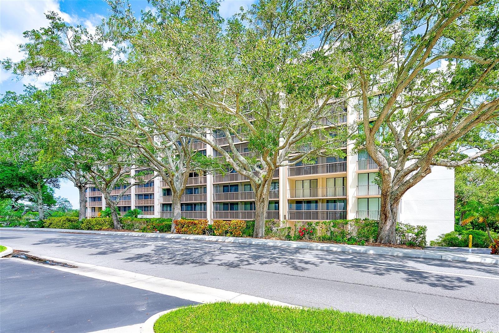 220 BELLEVIEW BLVD #811, BELLEAIR, FL, 33756