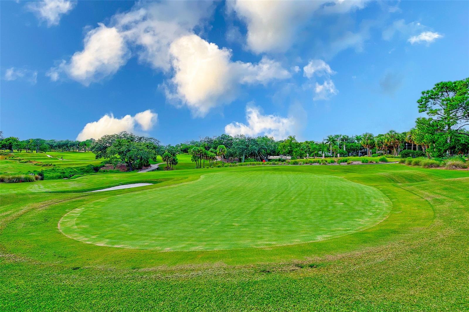 220 BELLEVIEW BLVD #811, BELLEAIR, FL, 33756