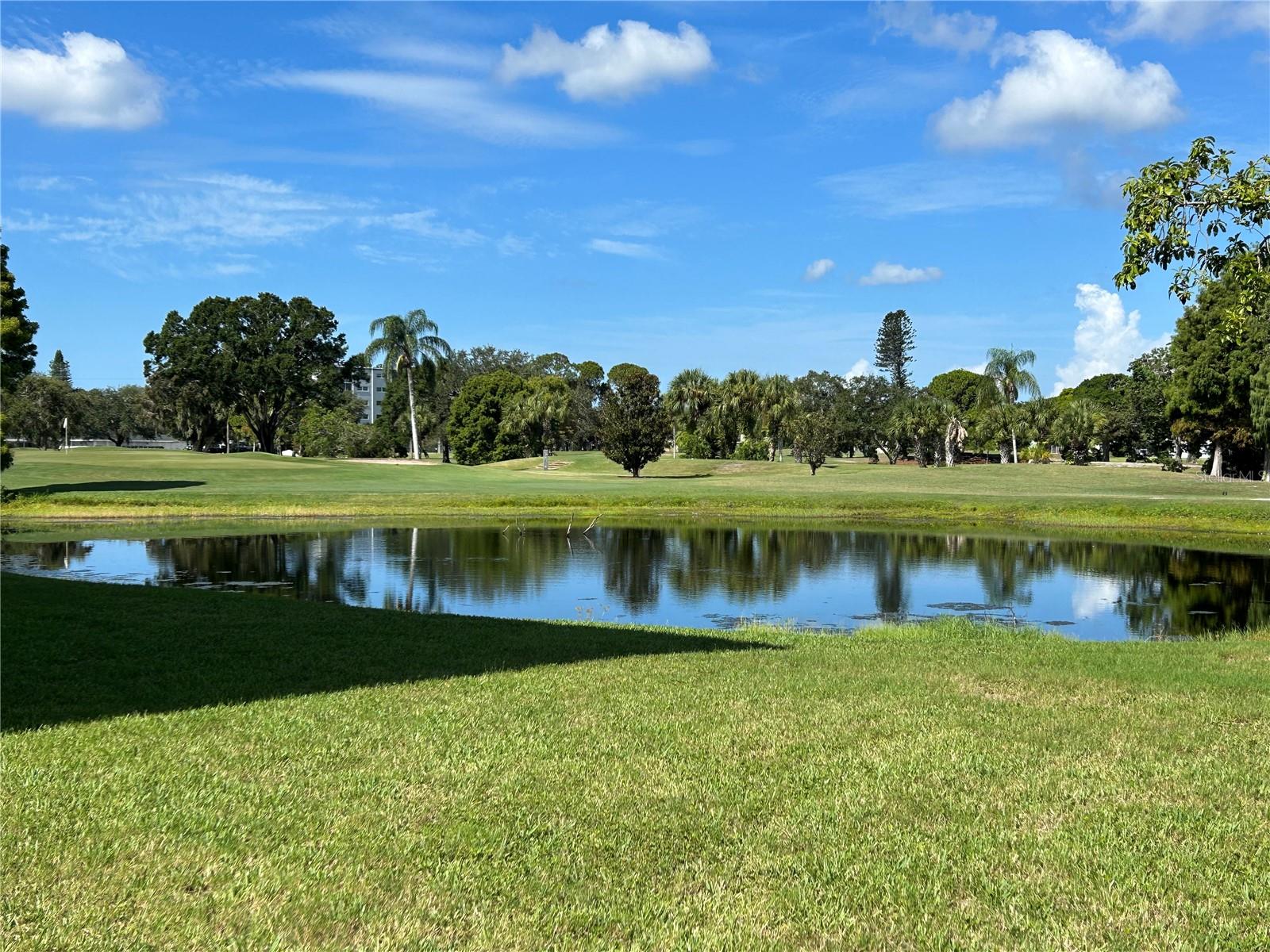 4440 FAIRWAYS BLVD #409, BRADENTON, FL, 34209