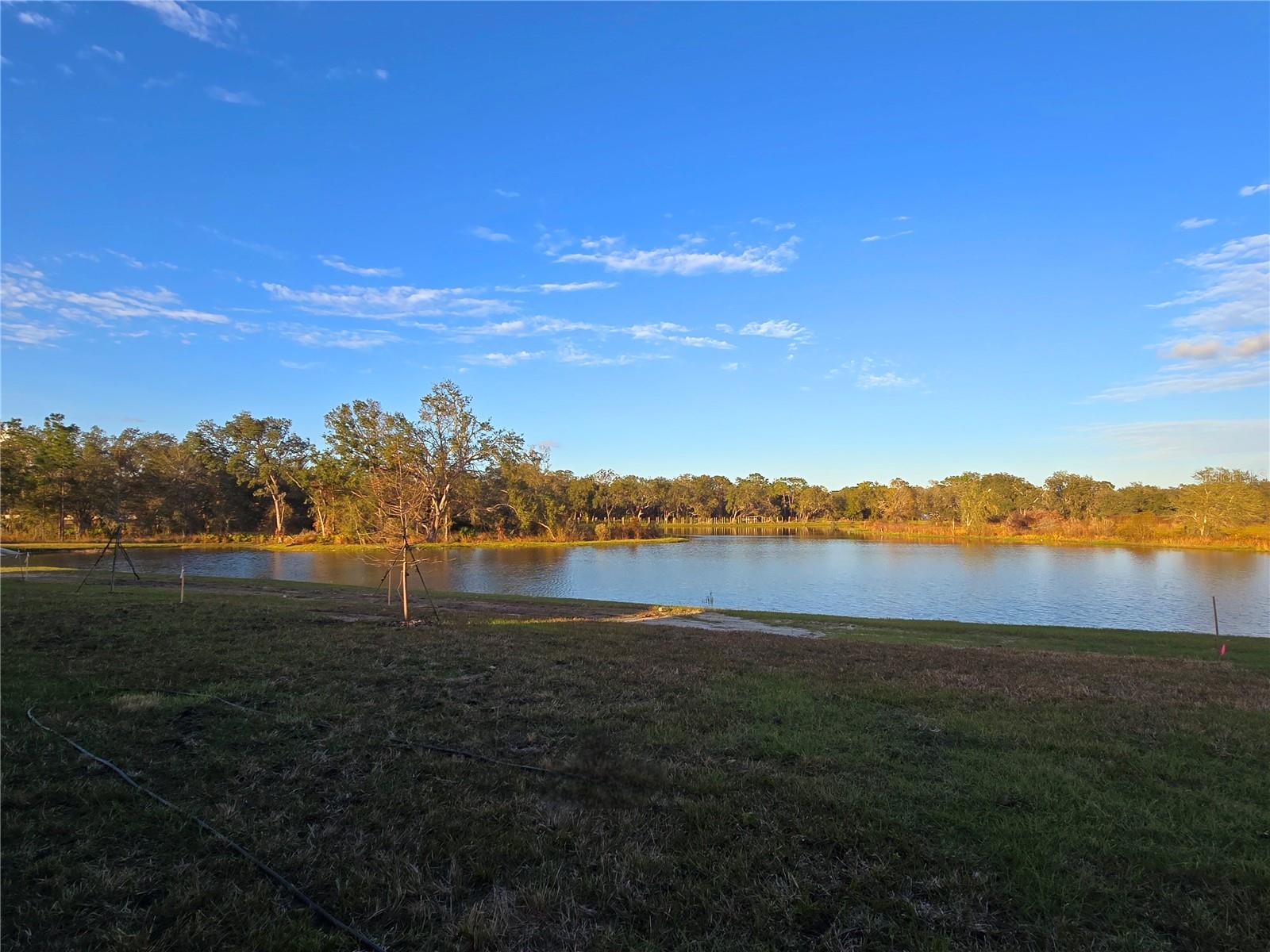 2830 GARDINER LN, ZEPHYRHILLS, FL, 33541