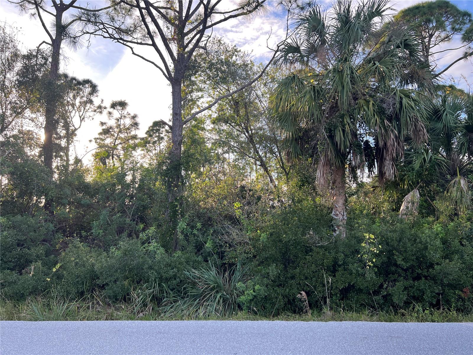 11197 / 11205 PINETRAIL RD, PUNTA GORDA, FL, 33955