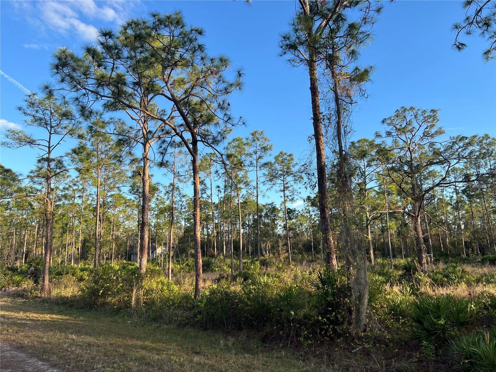 28037 ARGYLE DR, PUNTA GORDA, FL, 33955