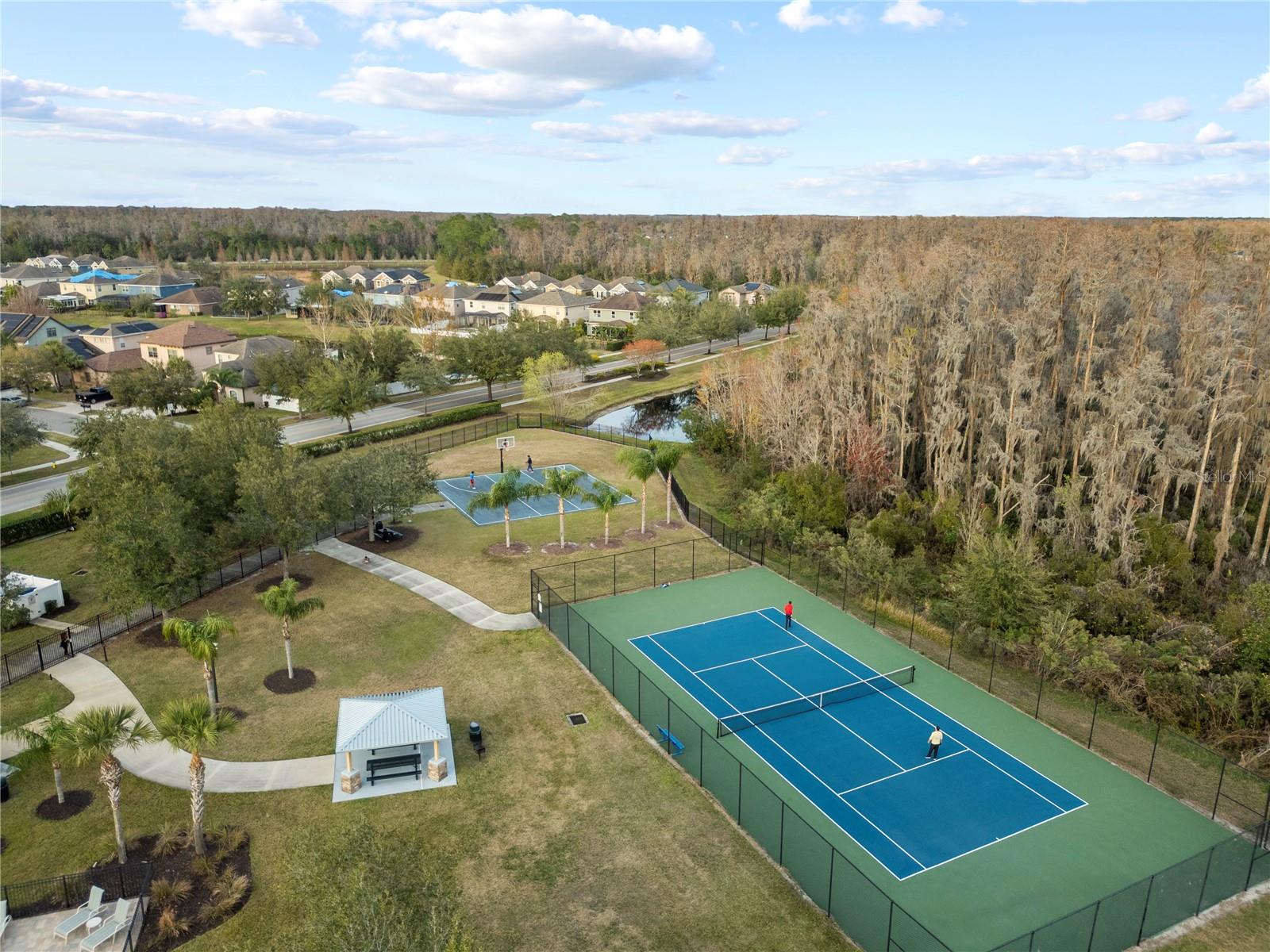 19253 STONE HEDGE DR, TAMPA, FL, 33647