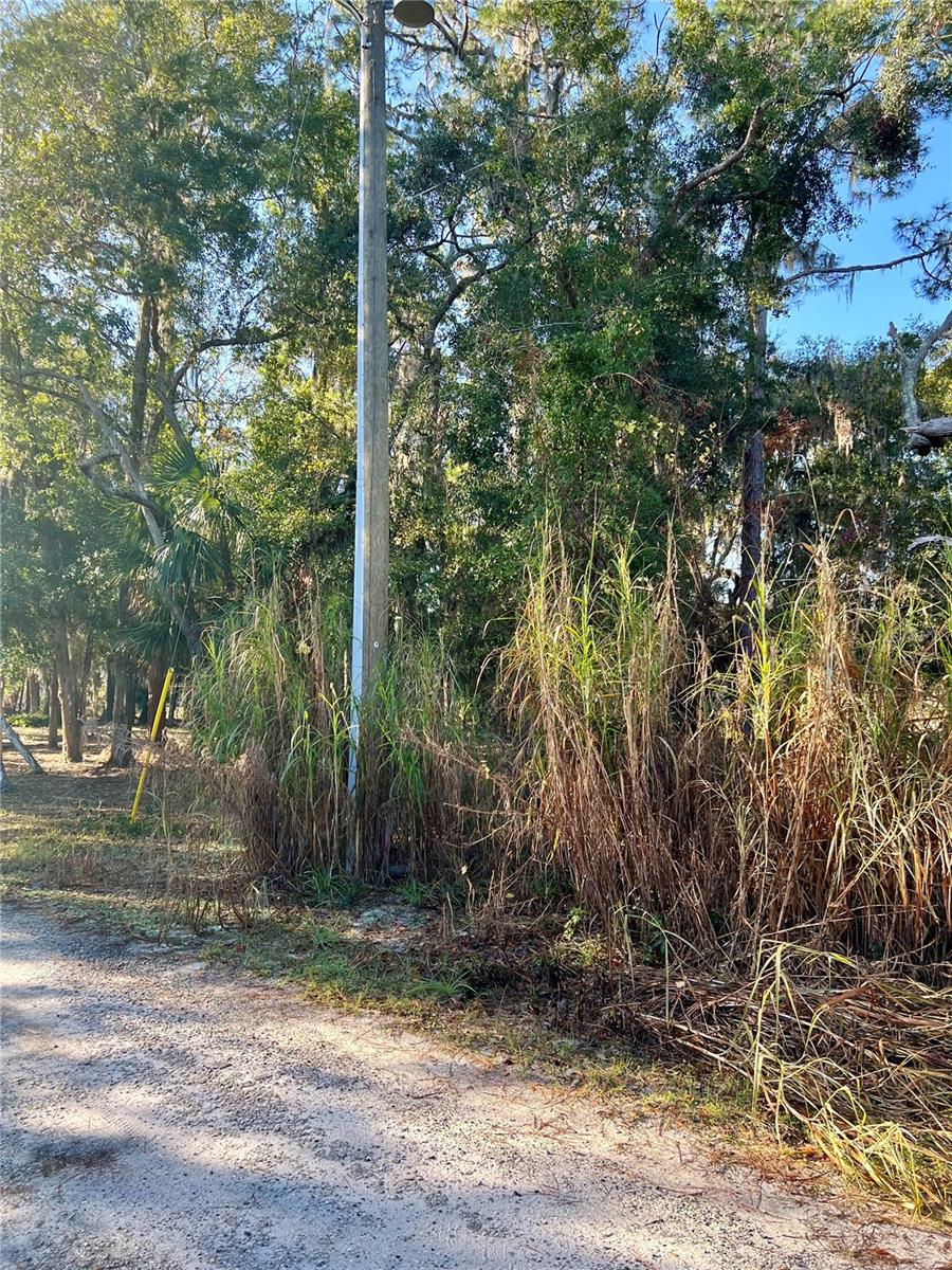 00 NE 303 CT RD, FORT MC COY, FL, 32134