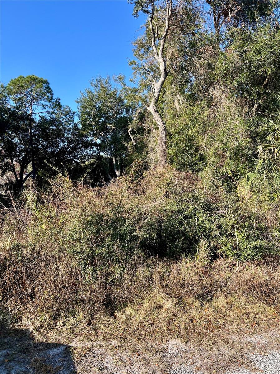 00 NE 303 CT RD, FORT MC COY, FL, 32134