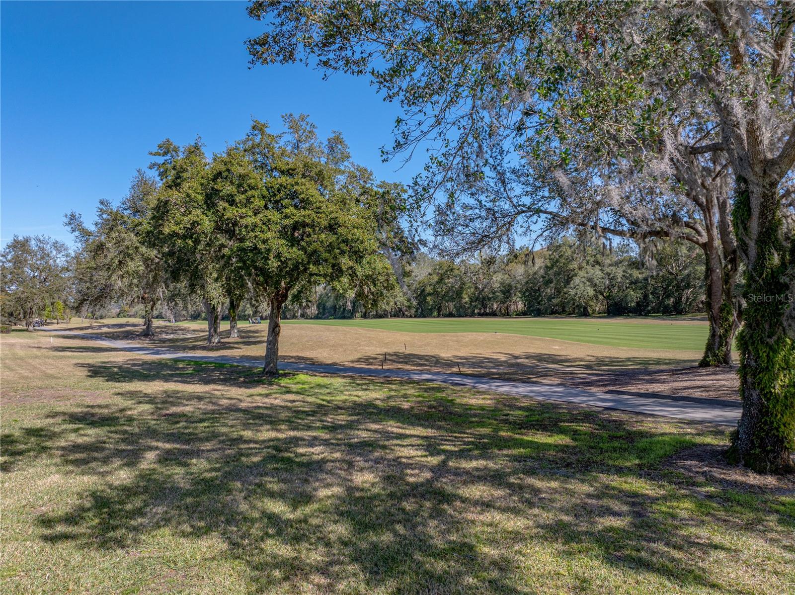 12700 GRAND TRAVERSE DR, DADE CITY, FL, 33525