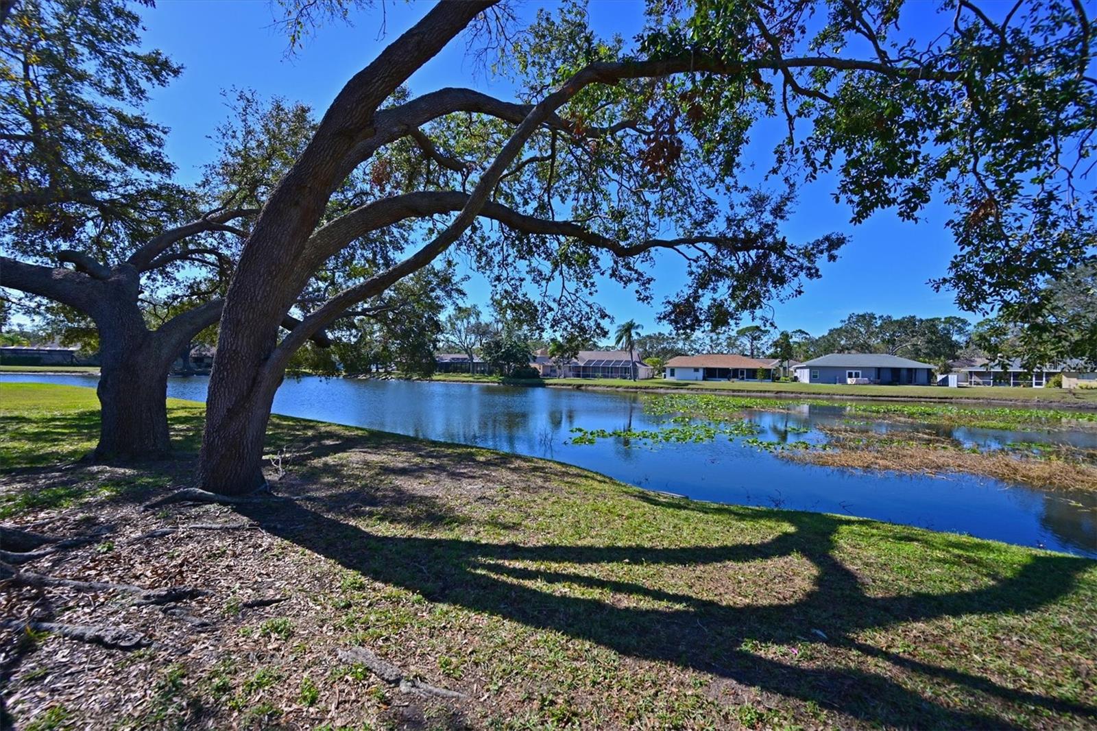 3267 CRYSTAL LAKES CT, SARASOTA, FL, 34235