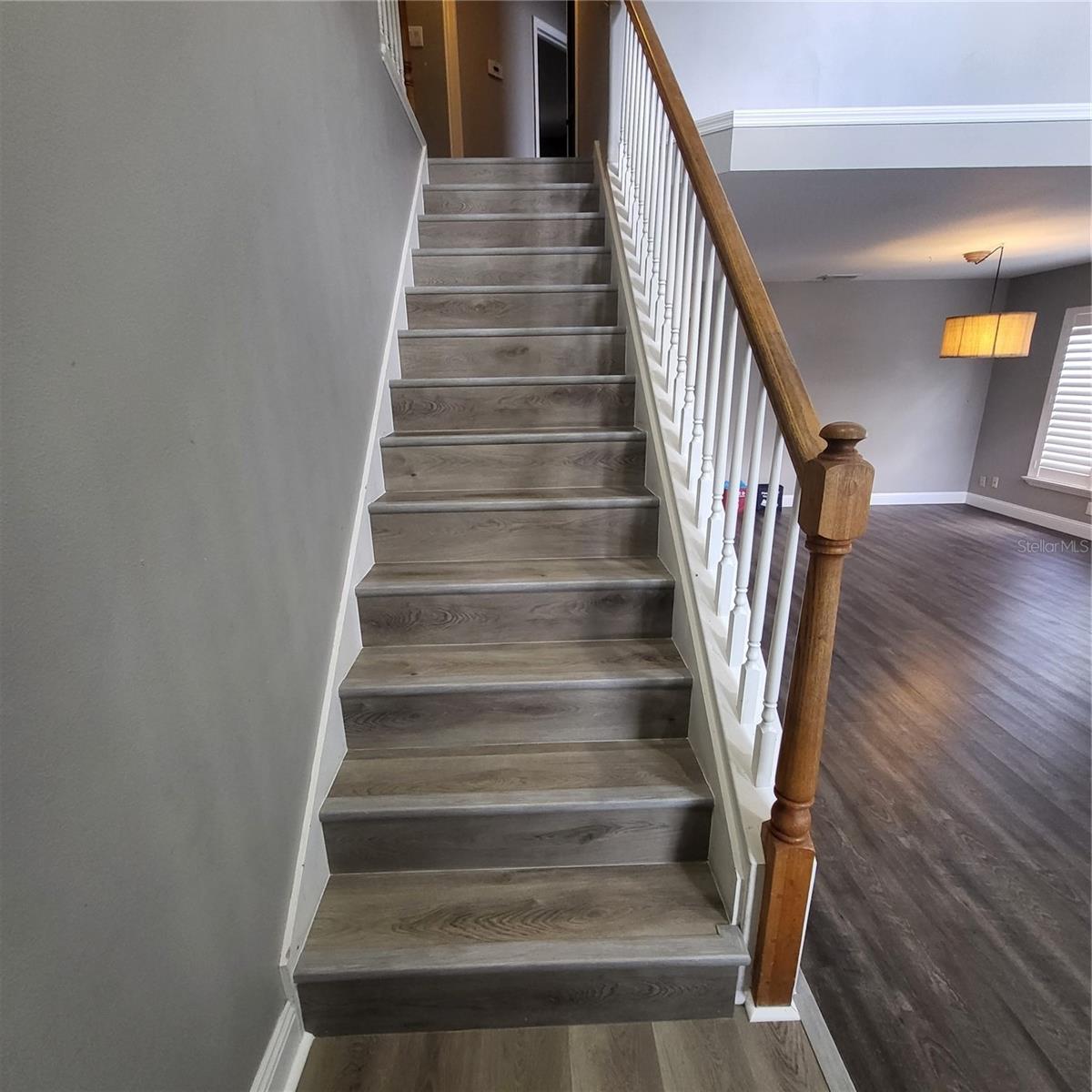 3057 BEAVER POND TRL, VALRICO, FL, 33596