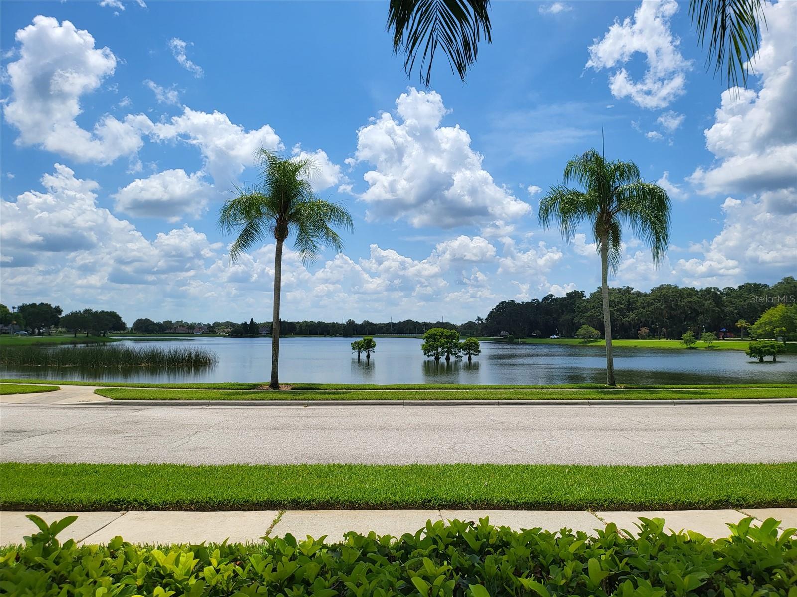 3057 BEAVER POND TRL, VALRICO, FL, 33596