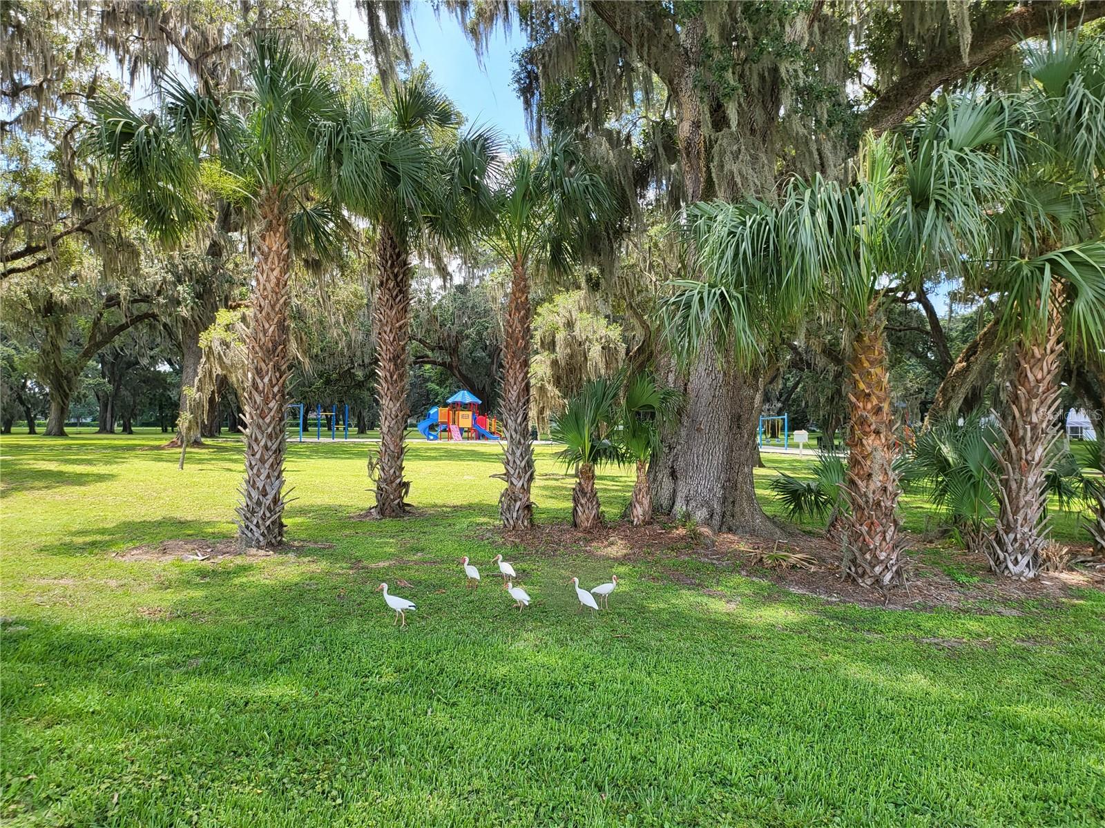 3057 BEAVER POND TRL, VALRICO, FL, 33596