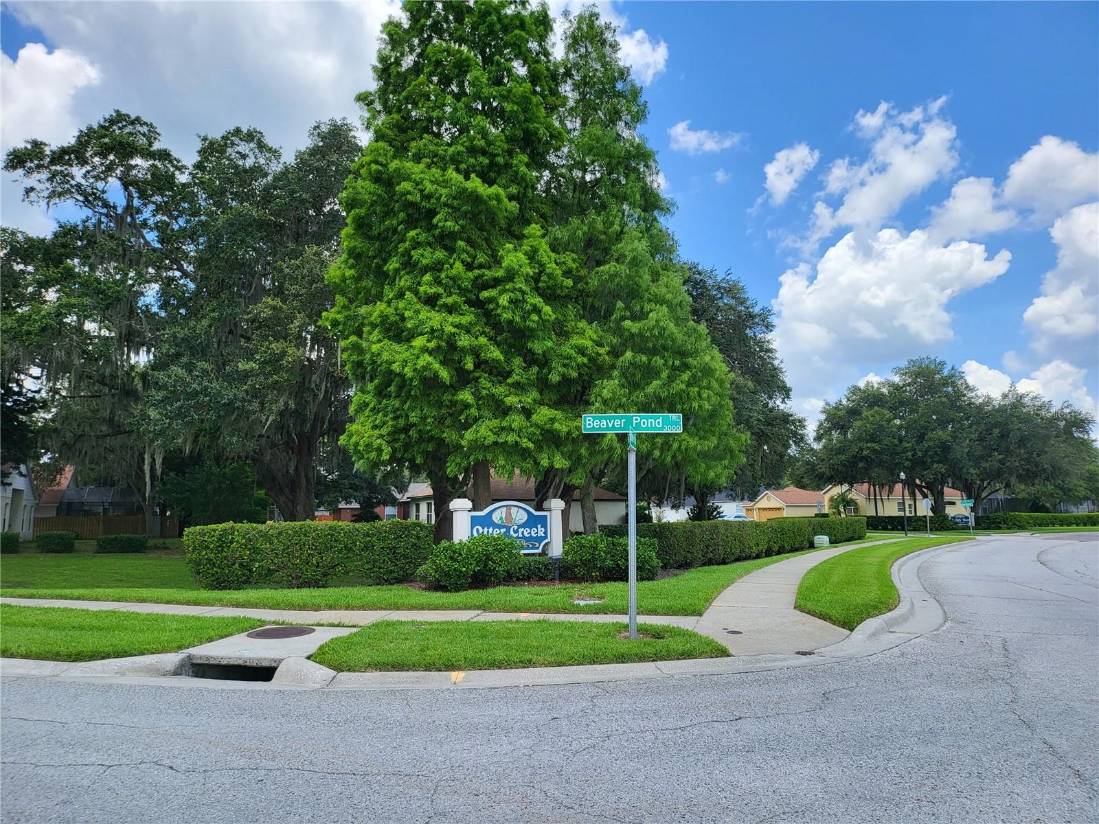 3057 BEAVER POND TRL, VALRICO, FL, 33596