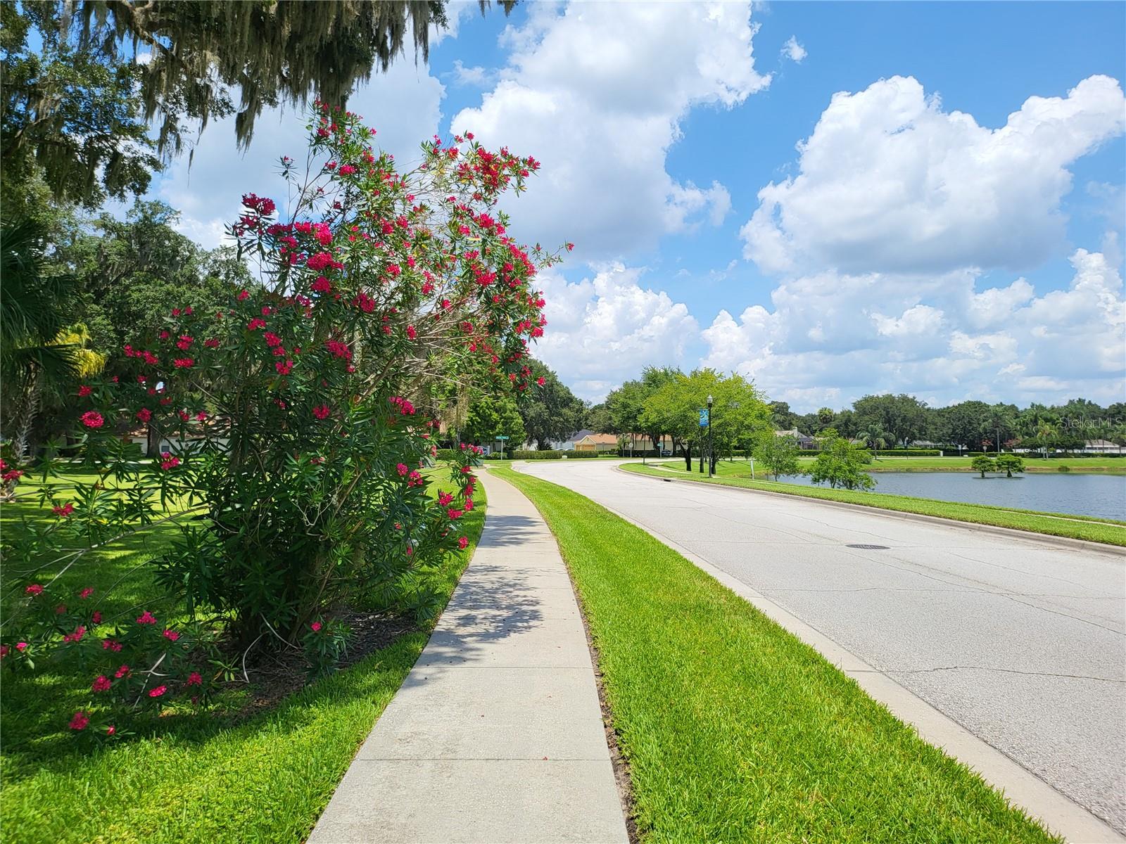 3057 BEAVER POND TRL, VALRICO, FL, 33596