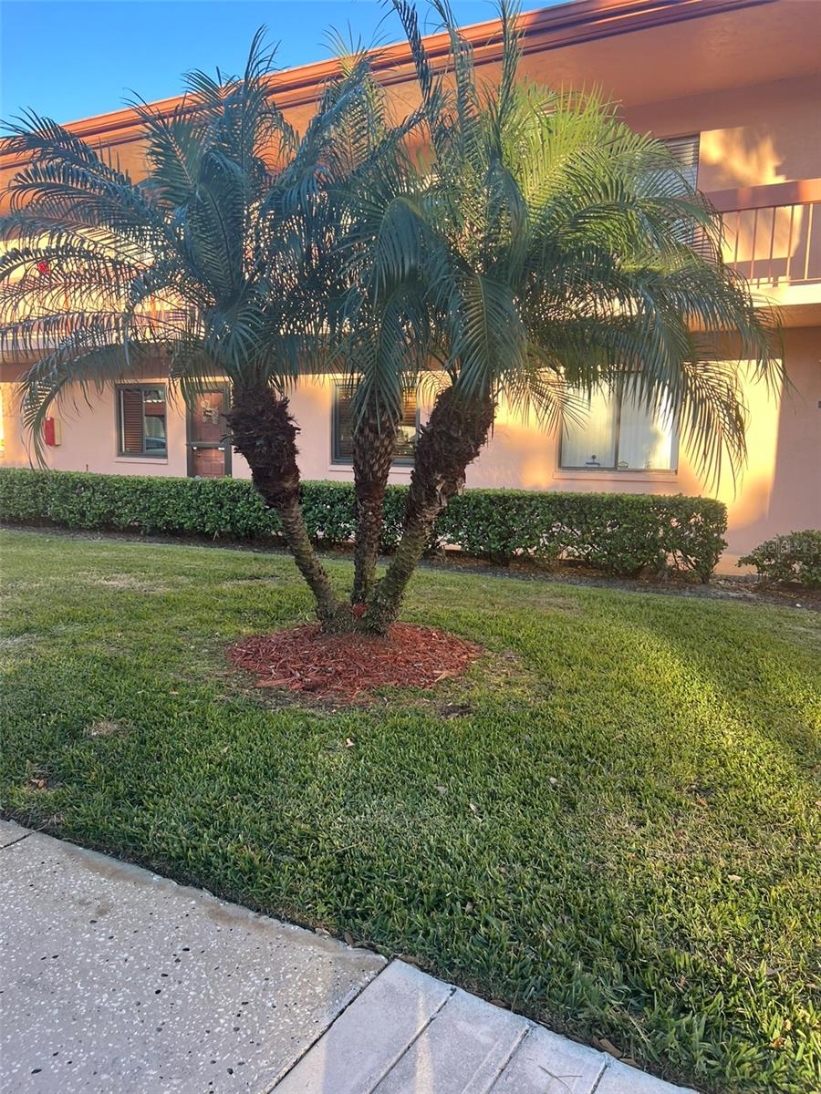 108 LAKESIDE DR, OLDSMAR, FL, 34677