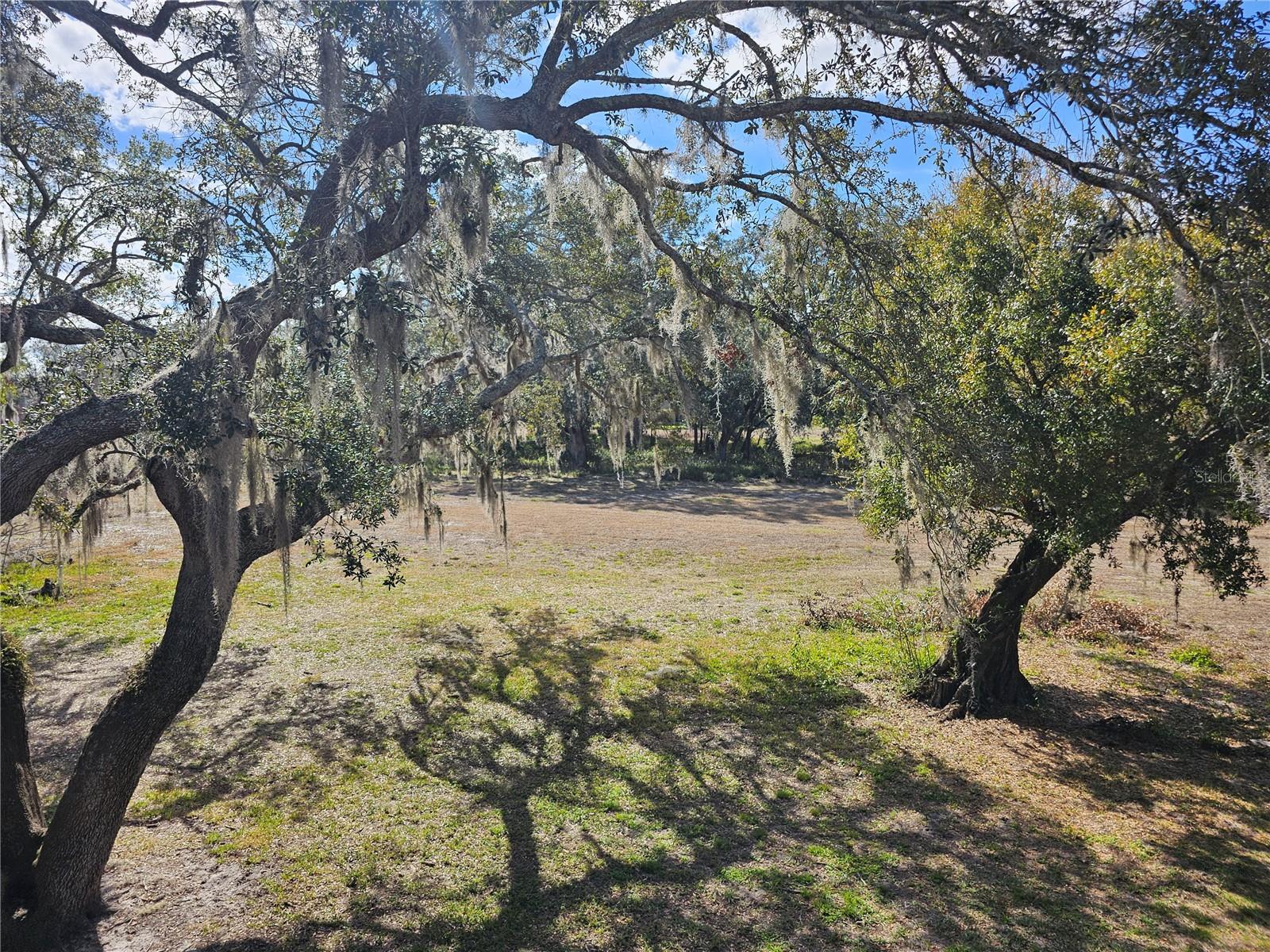 117 PALM VIEW CT #3537, HAINES CITY, FL, 33844