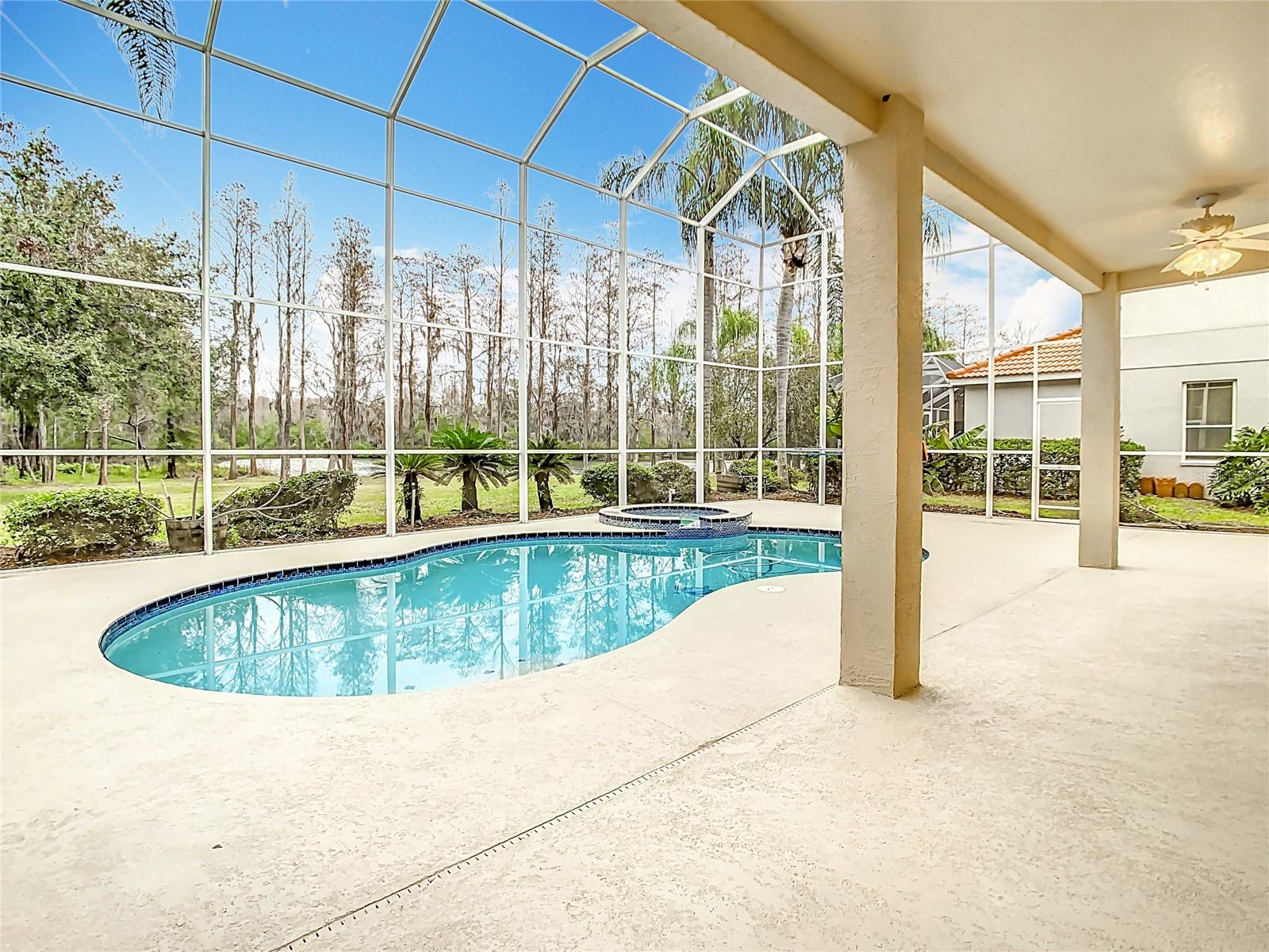 18817 CHAVILLE RD, LUTZ, FL, 33558