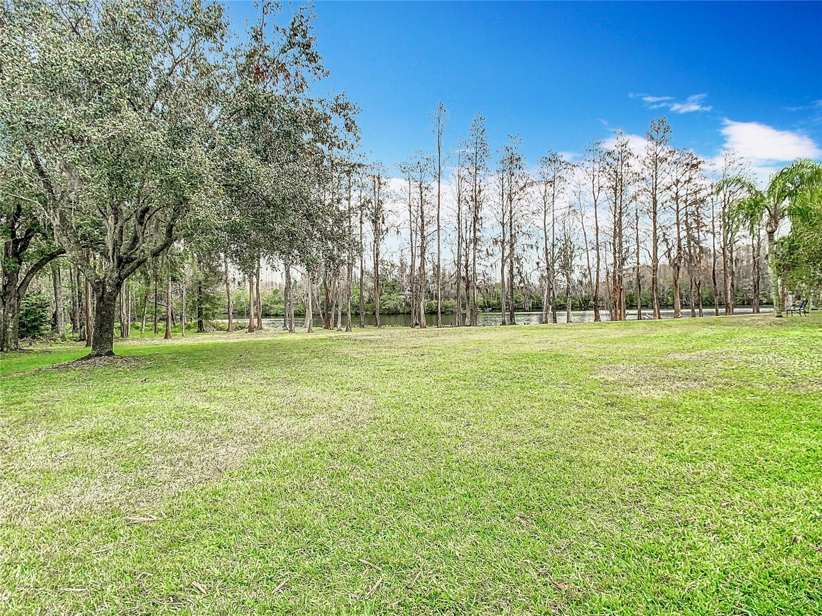 18817 CHAVILLE RD, LUTZ, FL, 33558