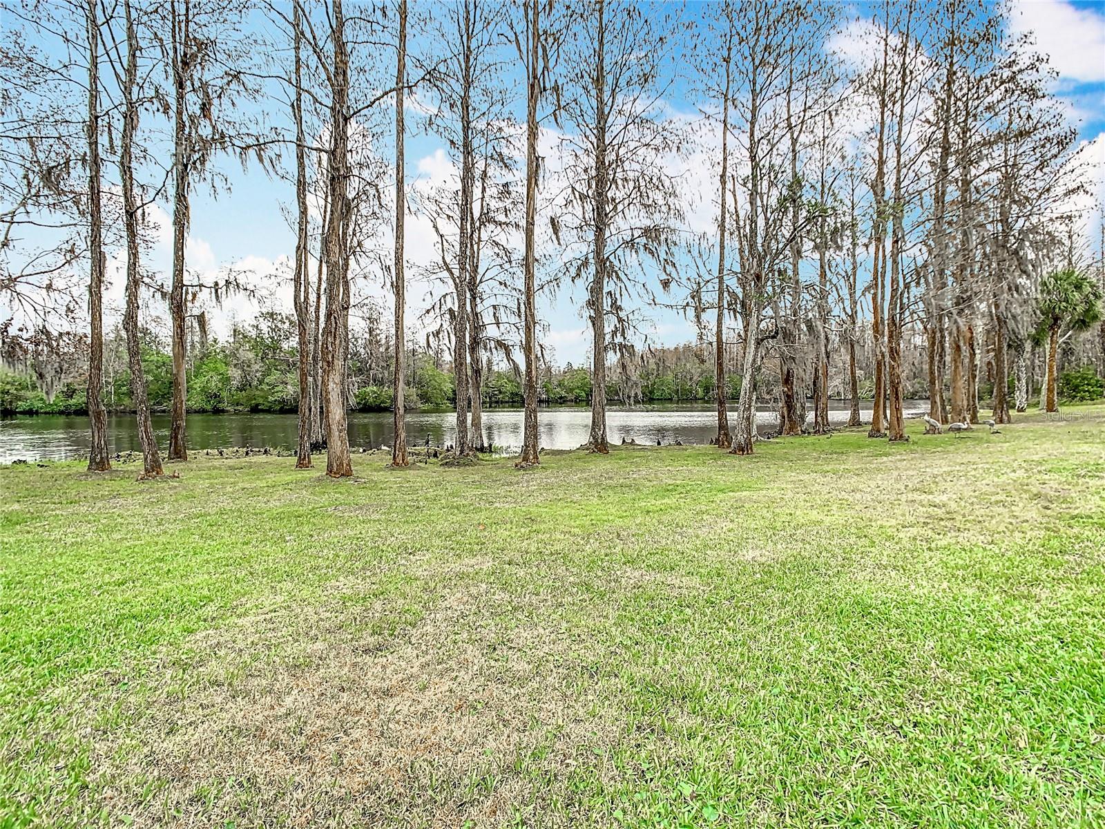 18817 CHAVILLE RD, LUTZ, FL, 33558