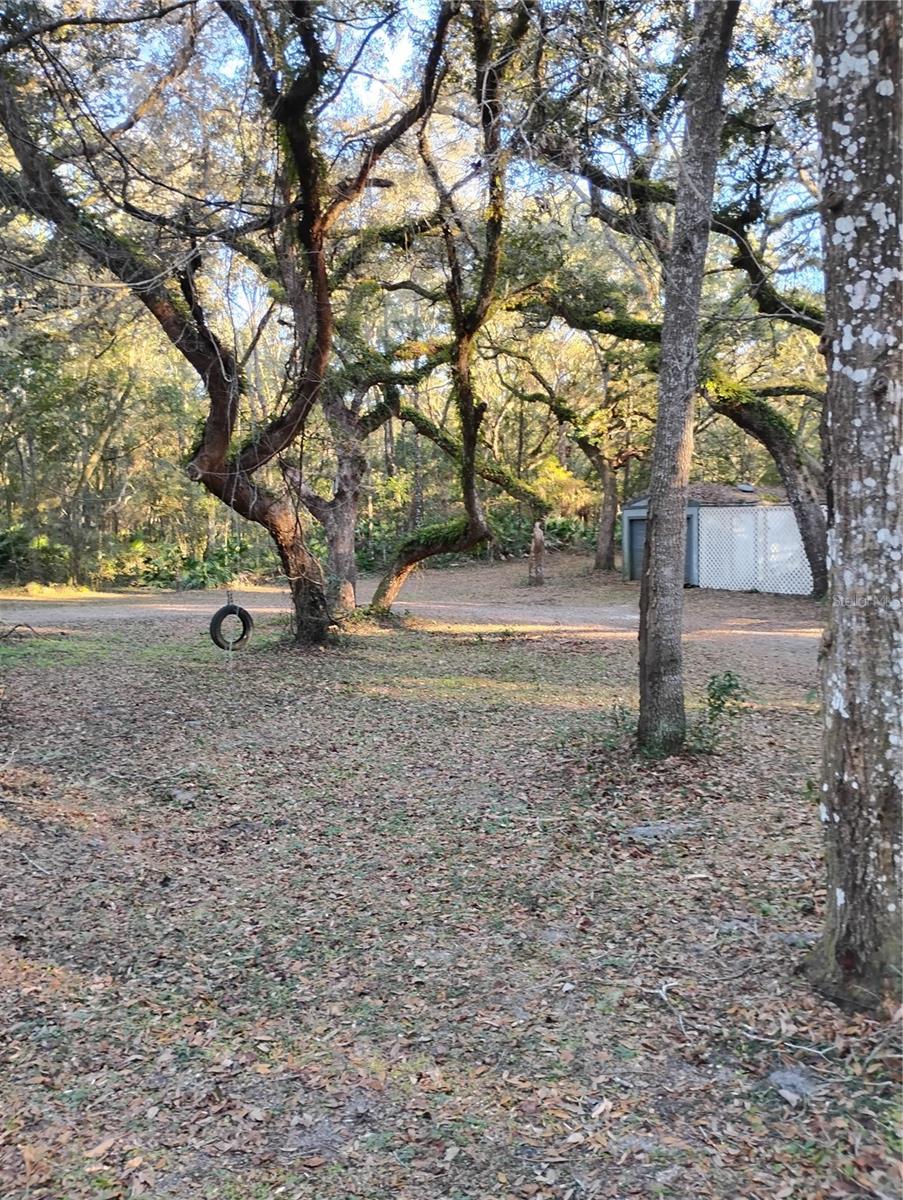 10094 SW 153RD LN, DUNNELLON, FL, 34432