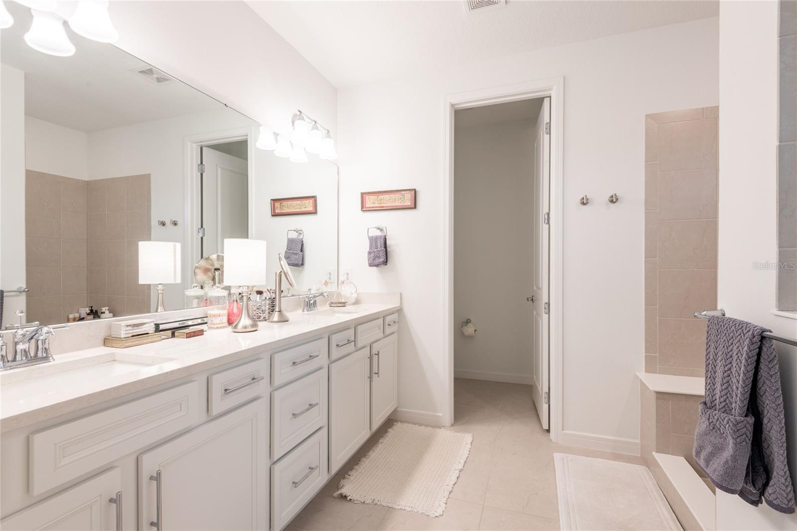 12902 BROOKSIDE MOSS DR, RIVERVIEW, FL, 33579