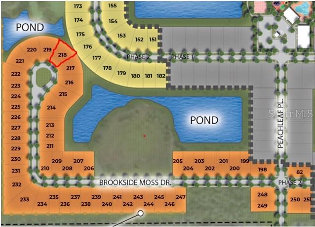 12902 BROOKSIDE MOSS DR, RIVERVIEW, FL, 33579