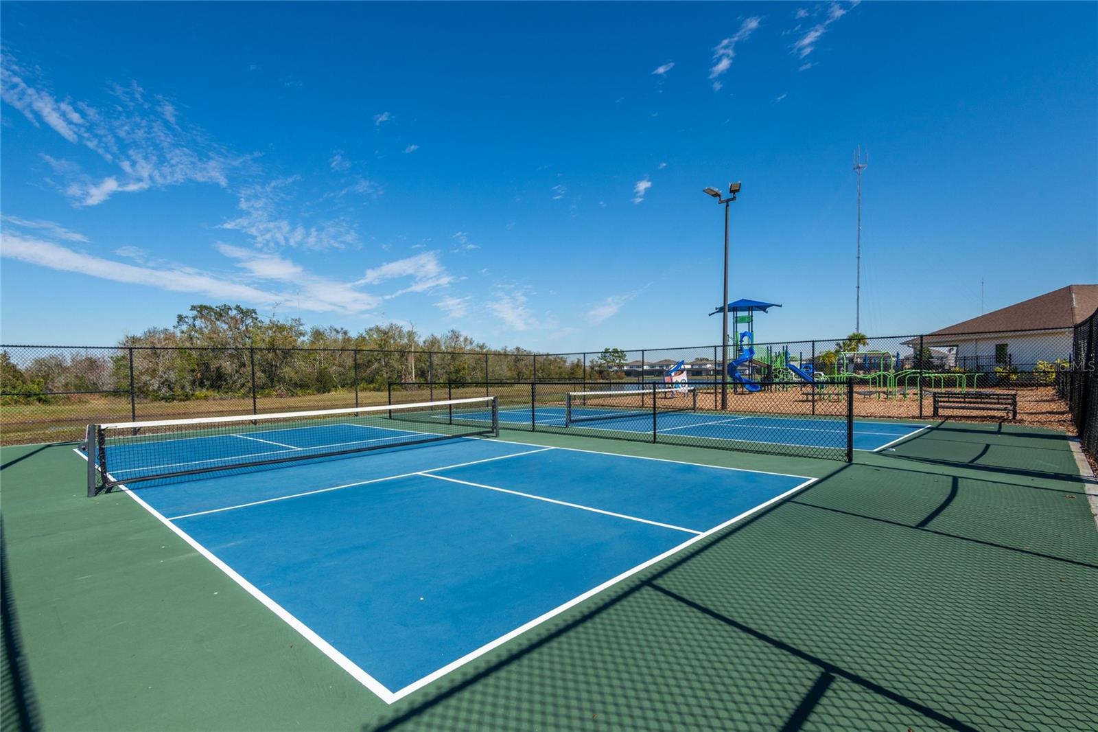 12902 BROOKSIDE MOSS DR, RIVERVIEW, FL, 33579