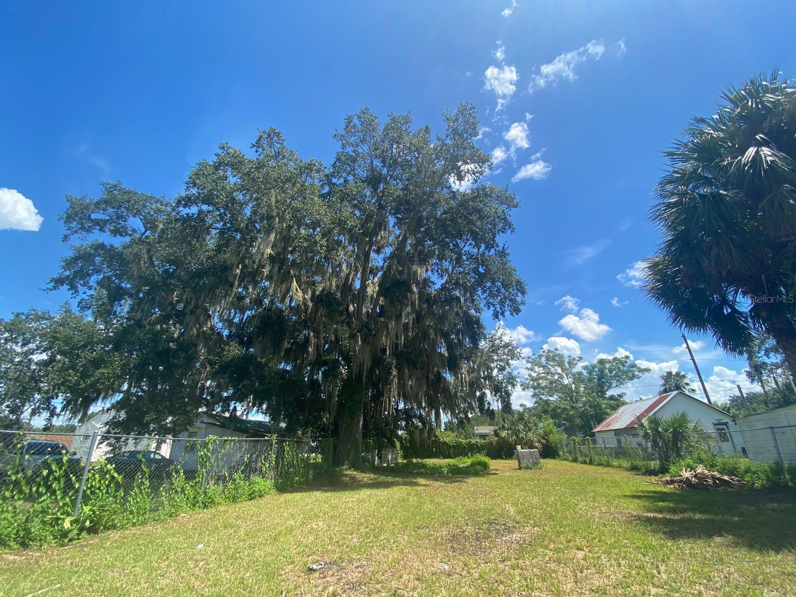 1551 IMMOKALEE ST, INTERCESSION CITY, FL, 33848