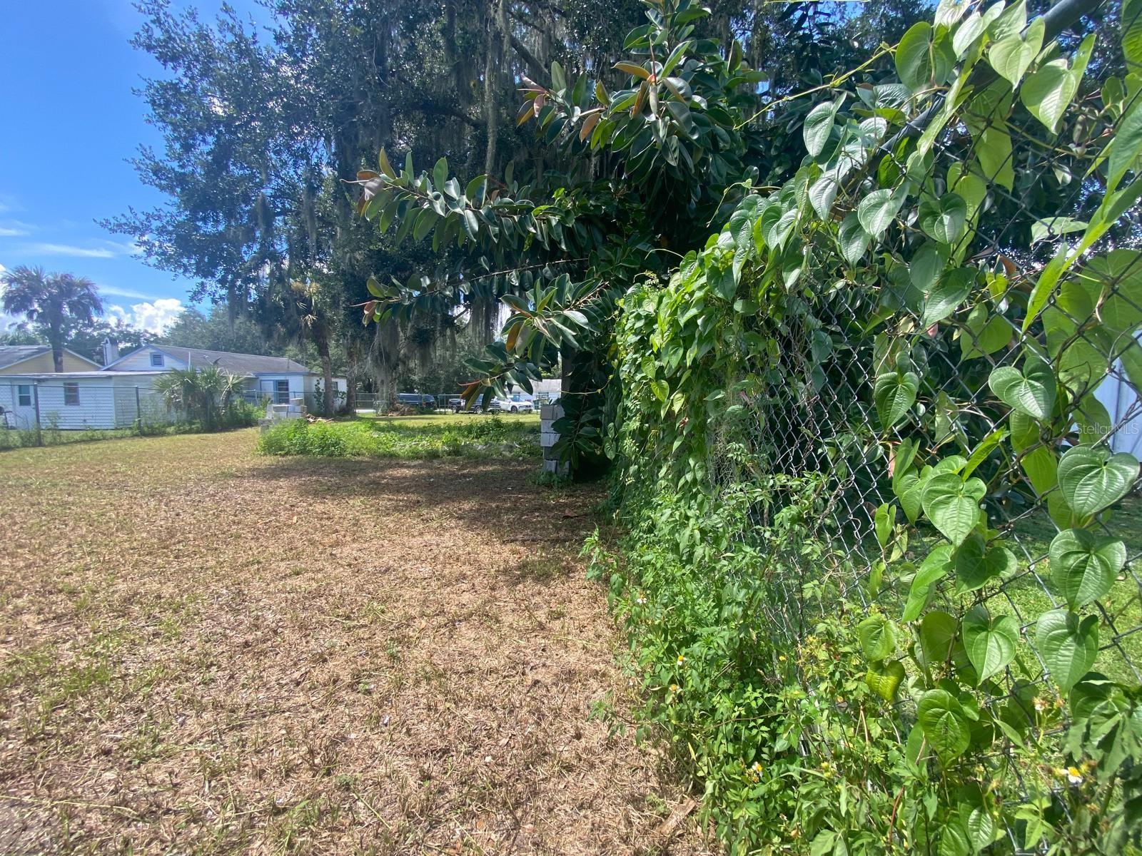 1551 IMMOKALEE ST, INTERCESSION CITY, FL, 33848