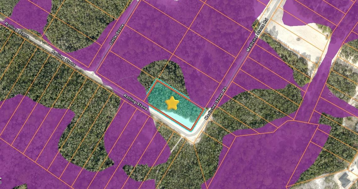20122 MEDICINE STONE #10 DR, WEBSTER, FL, 33597