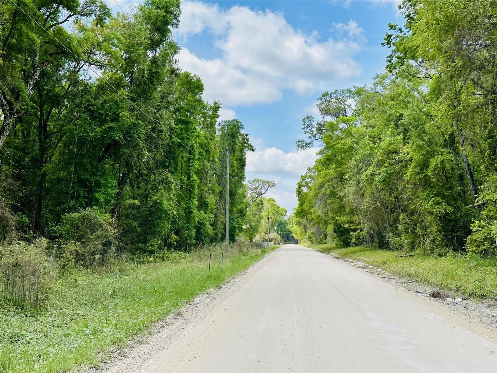 0 NE 400 AVE, OLD TOWN, FL, 32680
