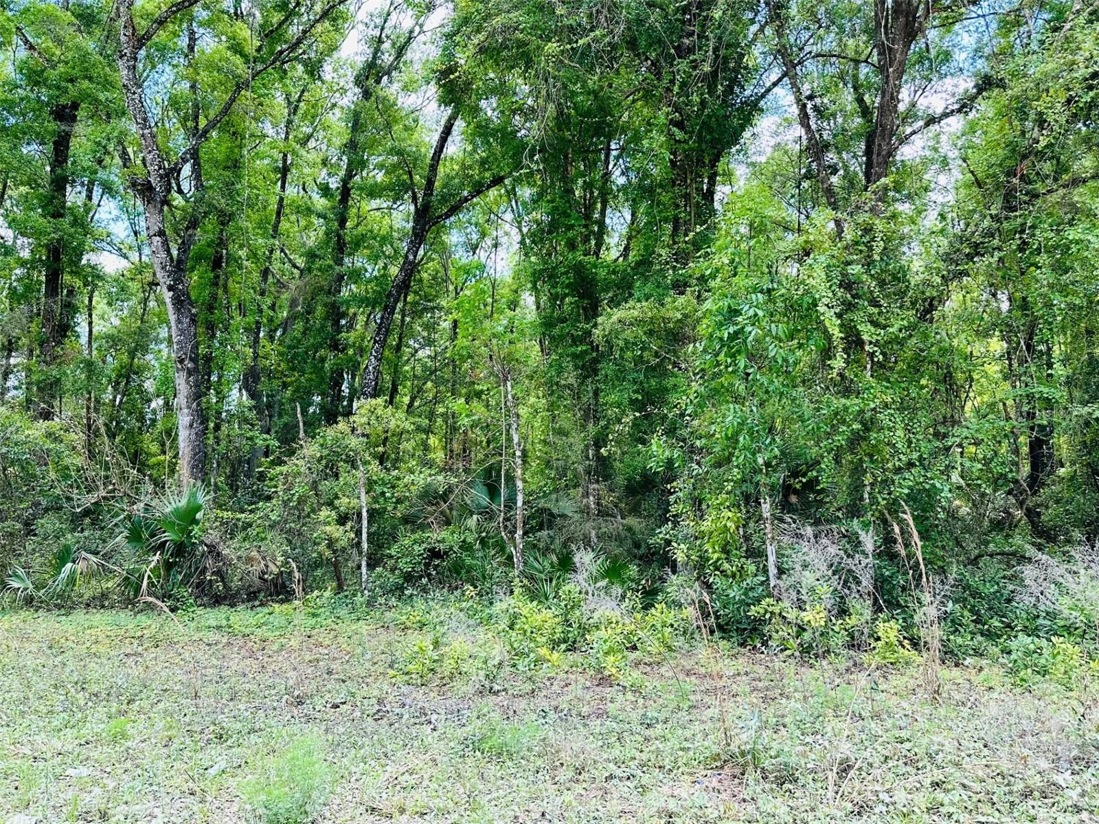 0 NE 400 AVE, OLD TOWN, FL, 32680