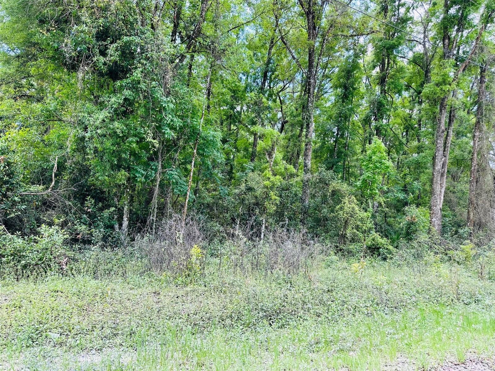 0 NE 400 AVE, OLD TOWN, FL, 32680